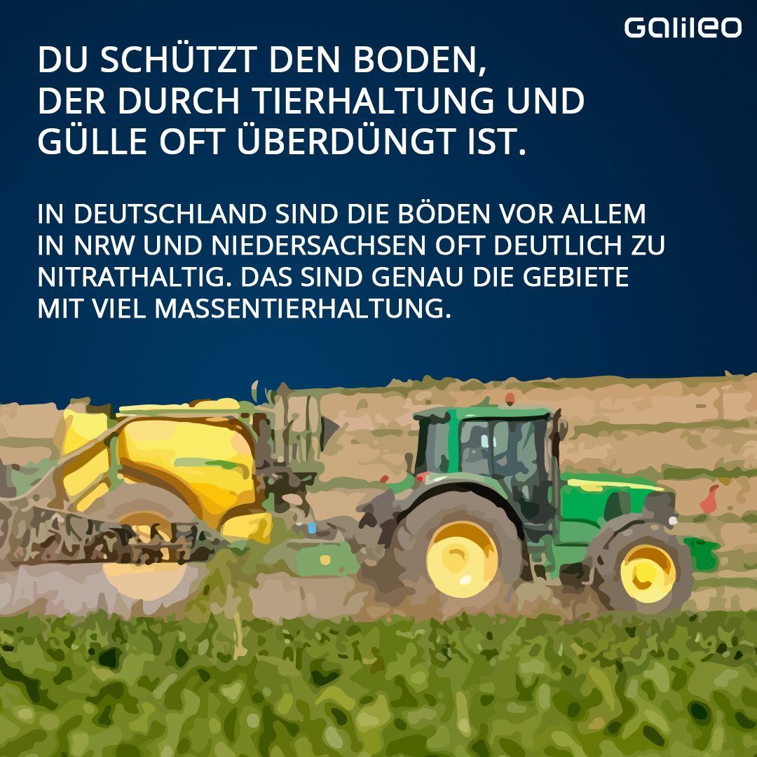 Der Boden leidet unter der Güllebelastung durch die Massentierhaltung.