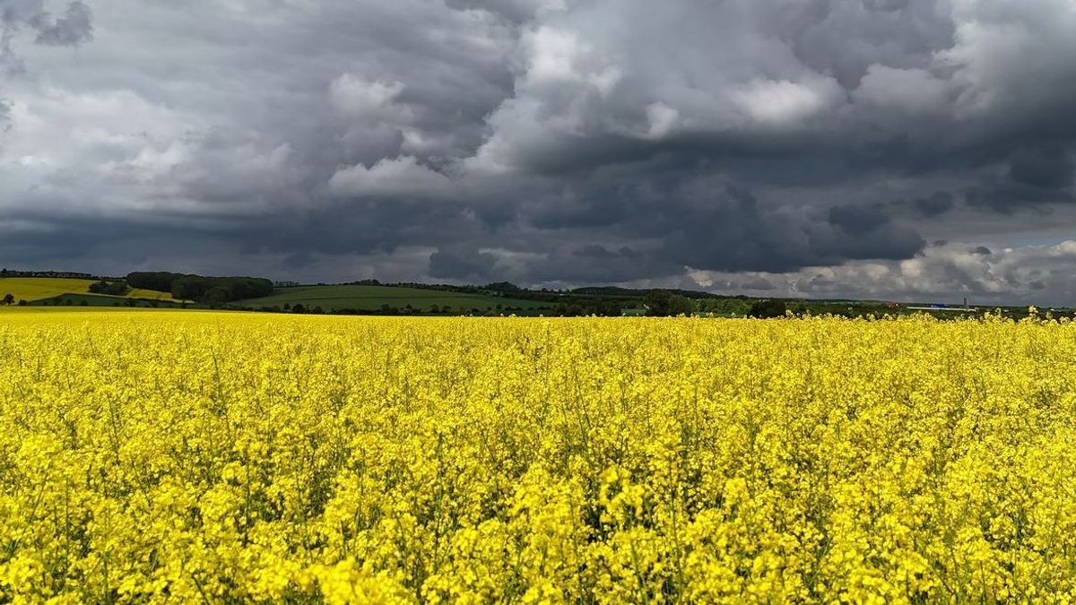 Heftige Gewitter erreichen Deutschland 