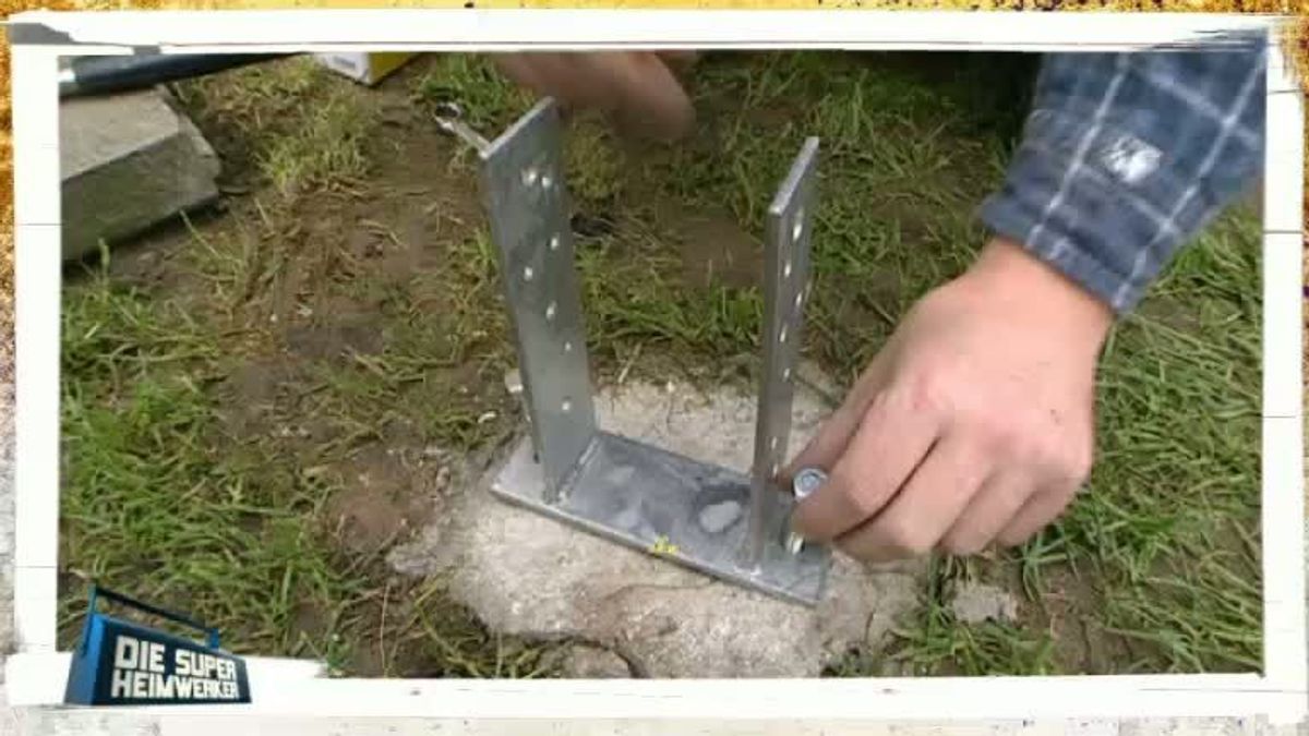 17.03. Ordnung für den Streichelzoo