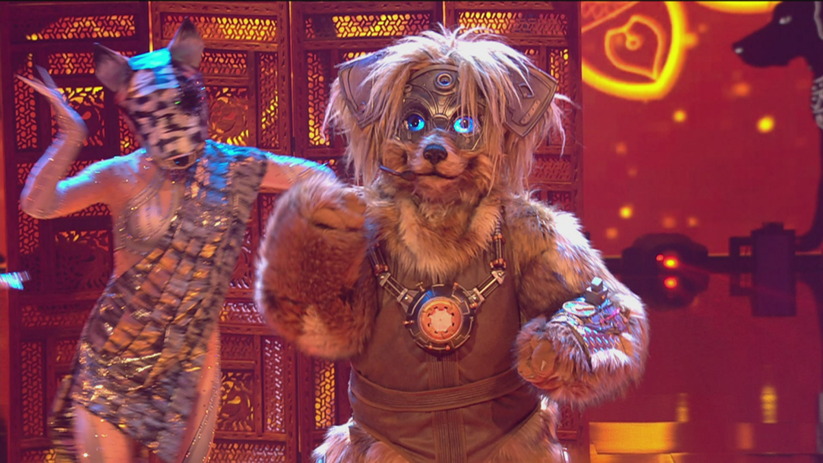 Der Robodog singt "Shape Of You" von Ed Sheeran im Bollywood-Stil