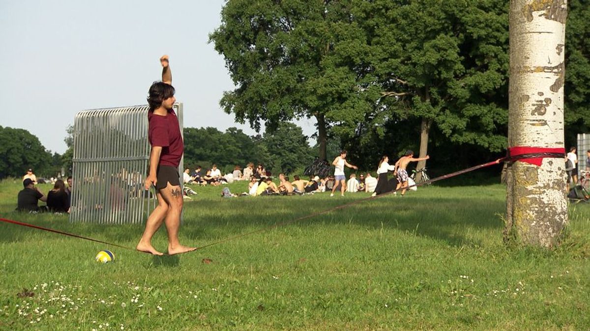 Der Donauinselflair since 1972