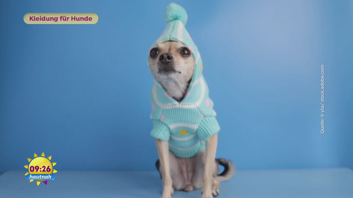 Dr. Tordy: Kleidung für Hunde