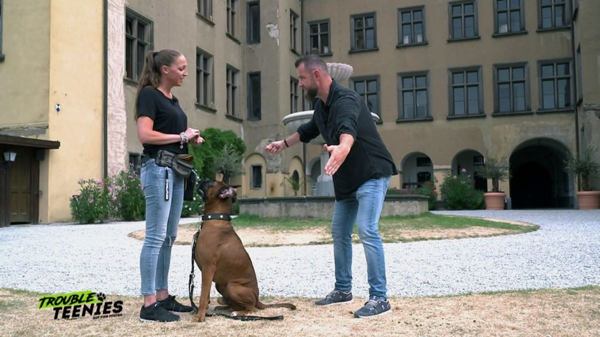 "Bei Fuß": So klappt der Aufbau des Kommandos